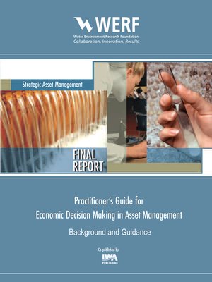 cover image of A Practitioner's Guide to Economic Decision Making in Asset Management